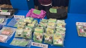 Penampakan Narkoba Senilai Rp60,5 Miliar yang Akan Diedarkan di DWP Bali